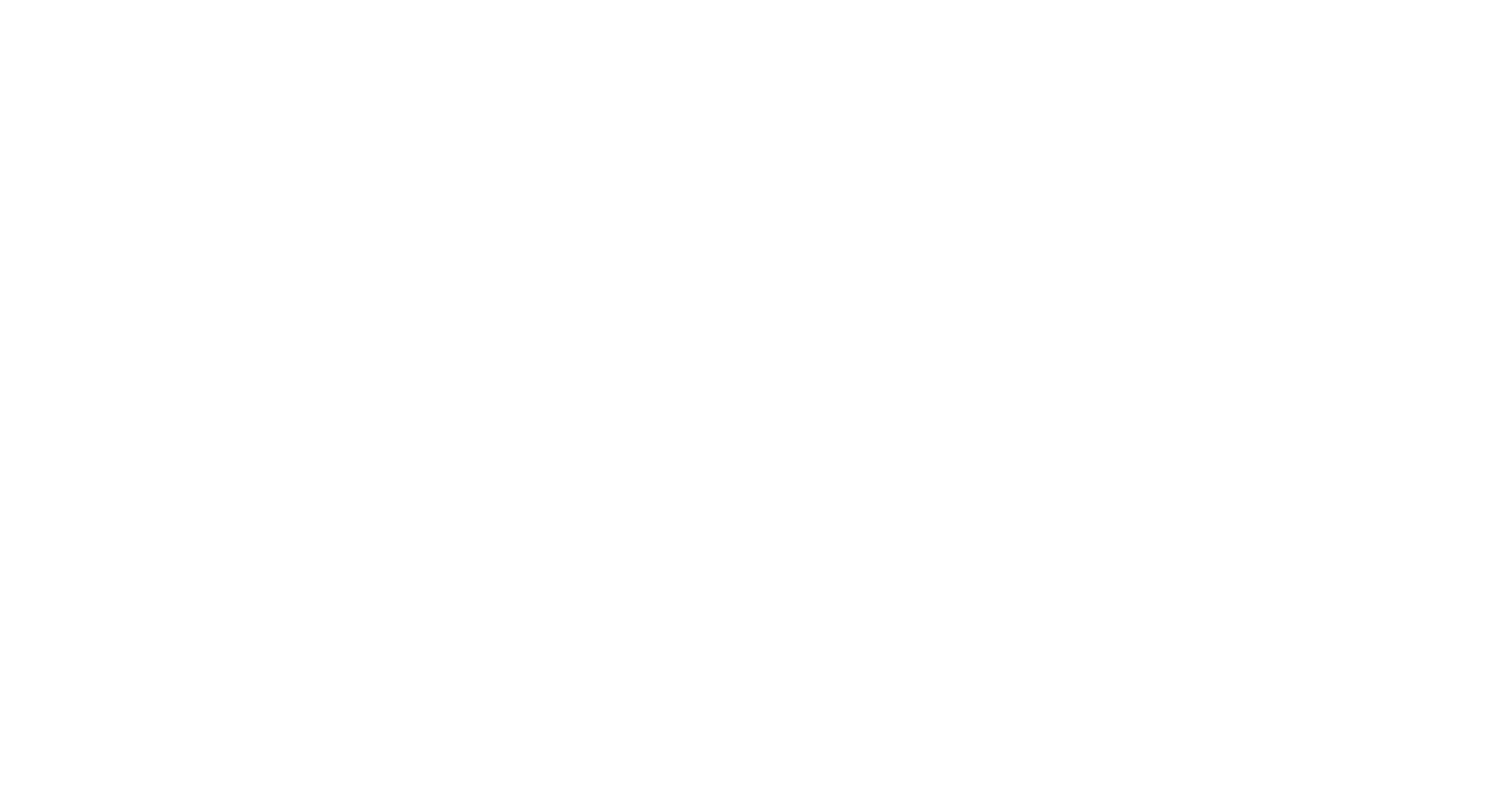 Logo white